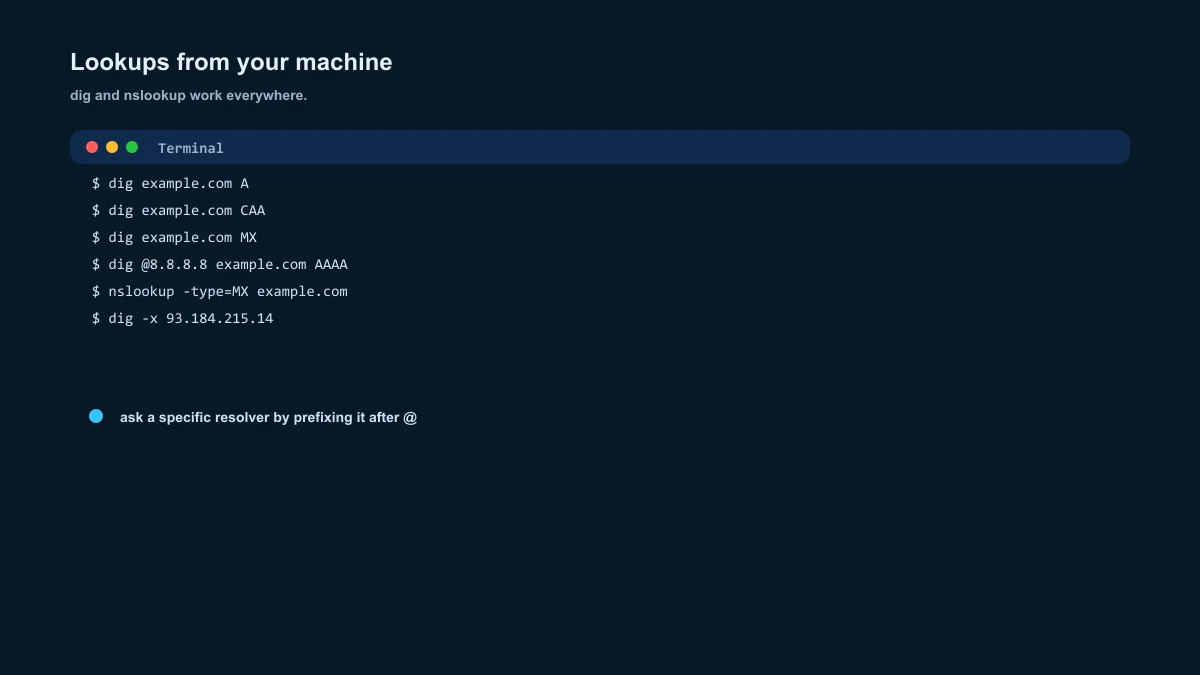 dig command examples — A, CAA, MX, AAAA and reverse DNS lookups in a terminal