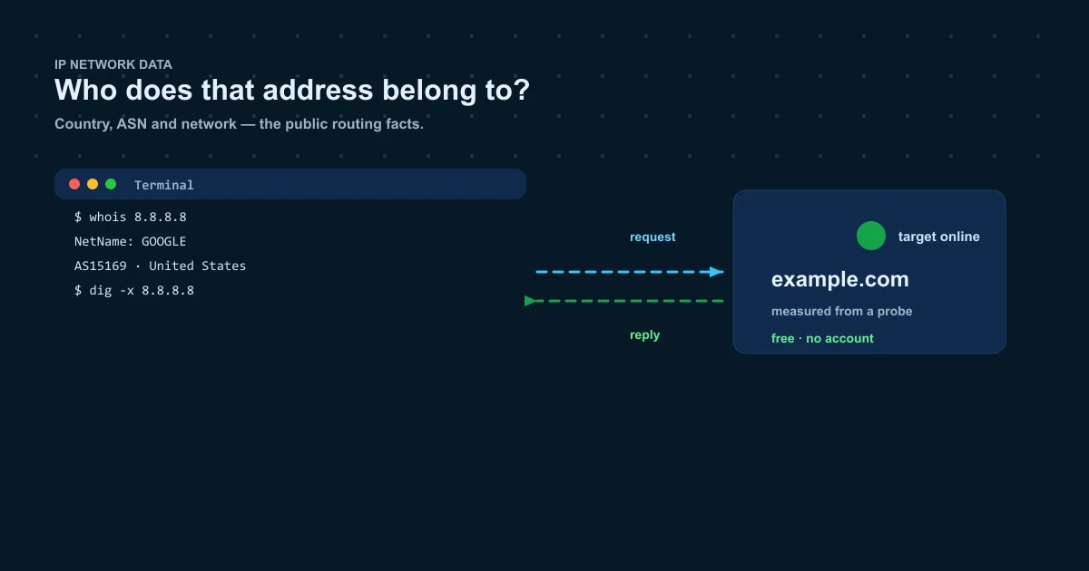 IP address lookup in 2026 — country, ASN and network data on a dark navy dashboard