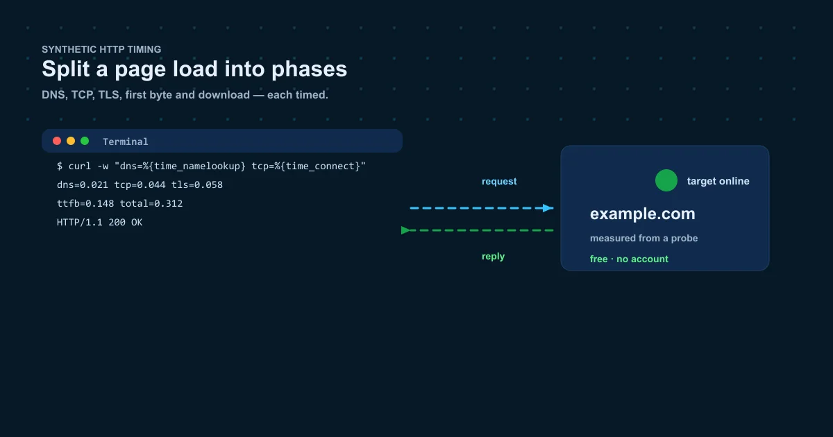 Website speed test in 2026 — DNS, TCP, TLS and first byte phases on a dark navy terminal