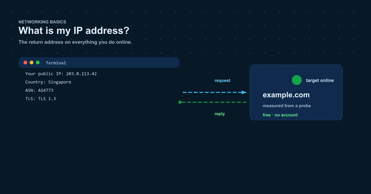 What is my IP address — public IP, country, ASN and TLS details on a dark navy dashboard
