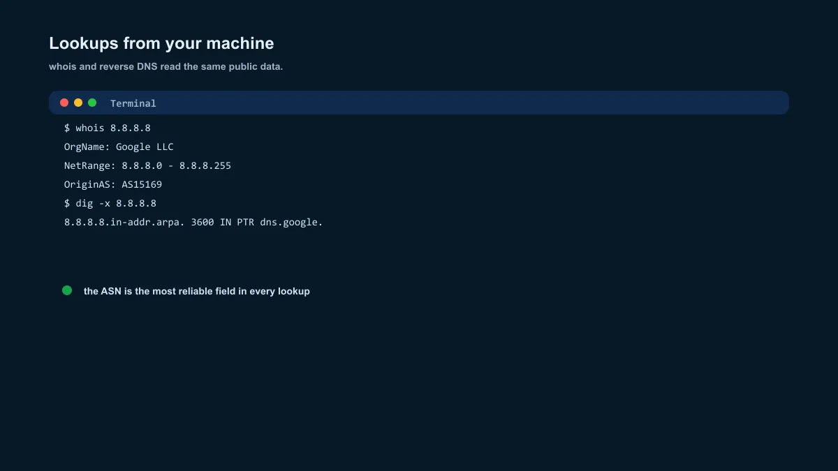 whois command terminal — network owner, address range and ASN for 8.8.8.8